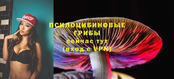 ГАЛЛЮЦИНОГЕННЫЕ ГРИБЫ Абинск