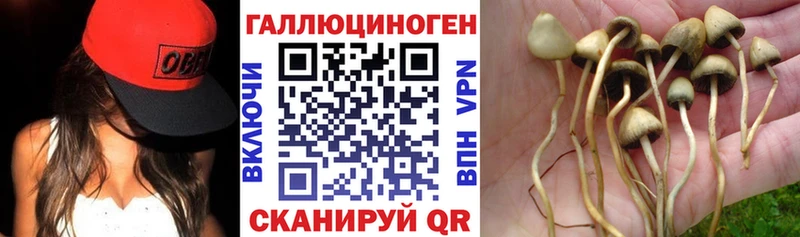 Галлюциногенные грибы мицелий  площадка как зайти  Тырныауз 